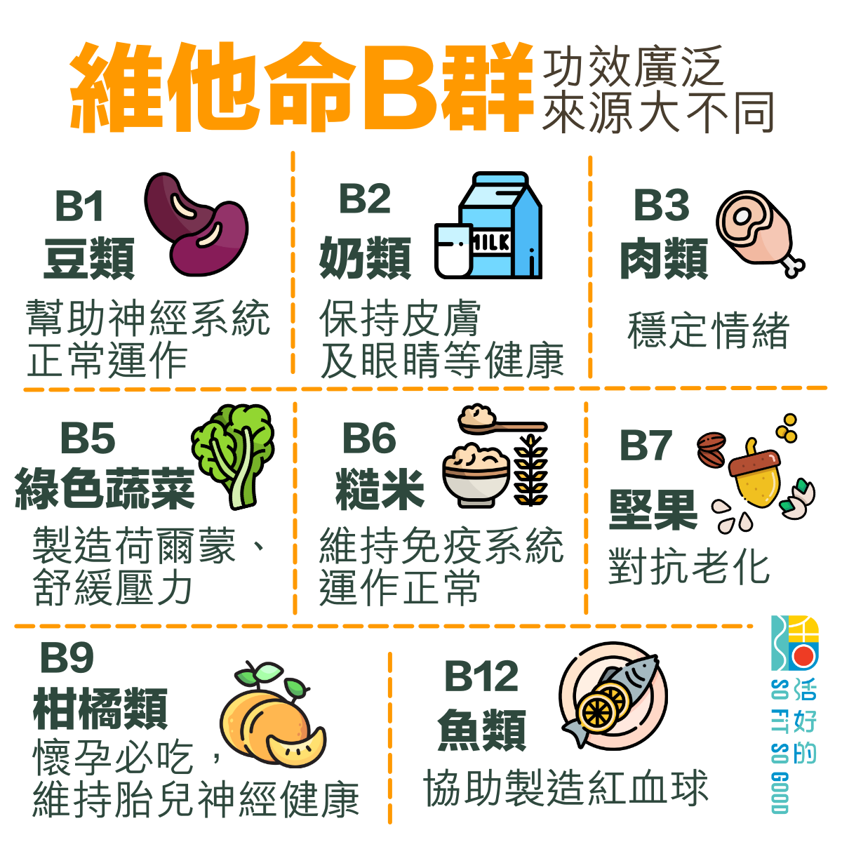 維他命B群功效廣泛 主要來源大不同 | 活好的