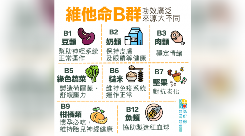 維他命B群功效廣泛 主要來源大不同 | 活好的