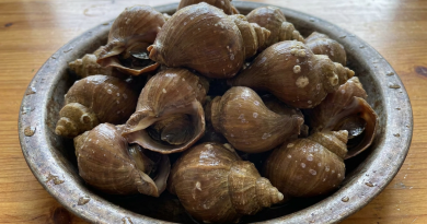 茶螺AI圖
