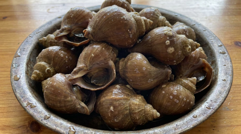 茶螺AI圖