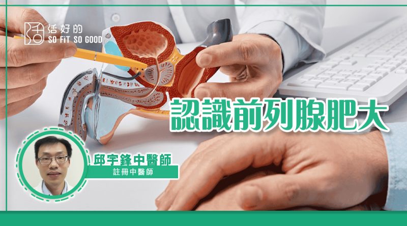 認識前列腺肥大