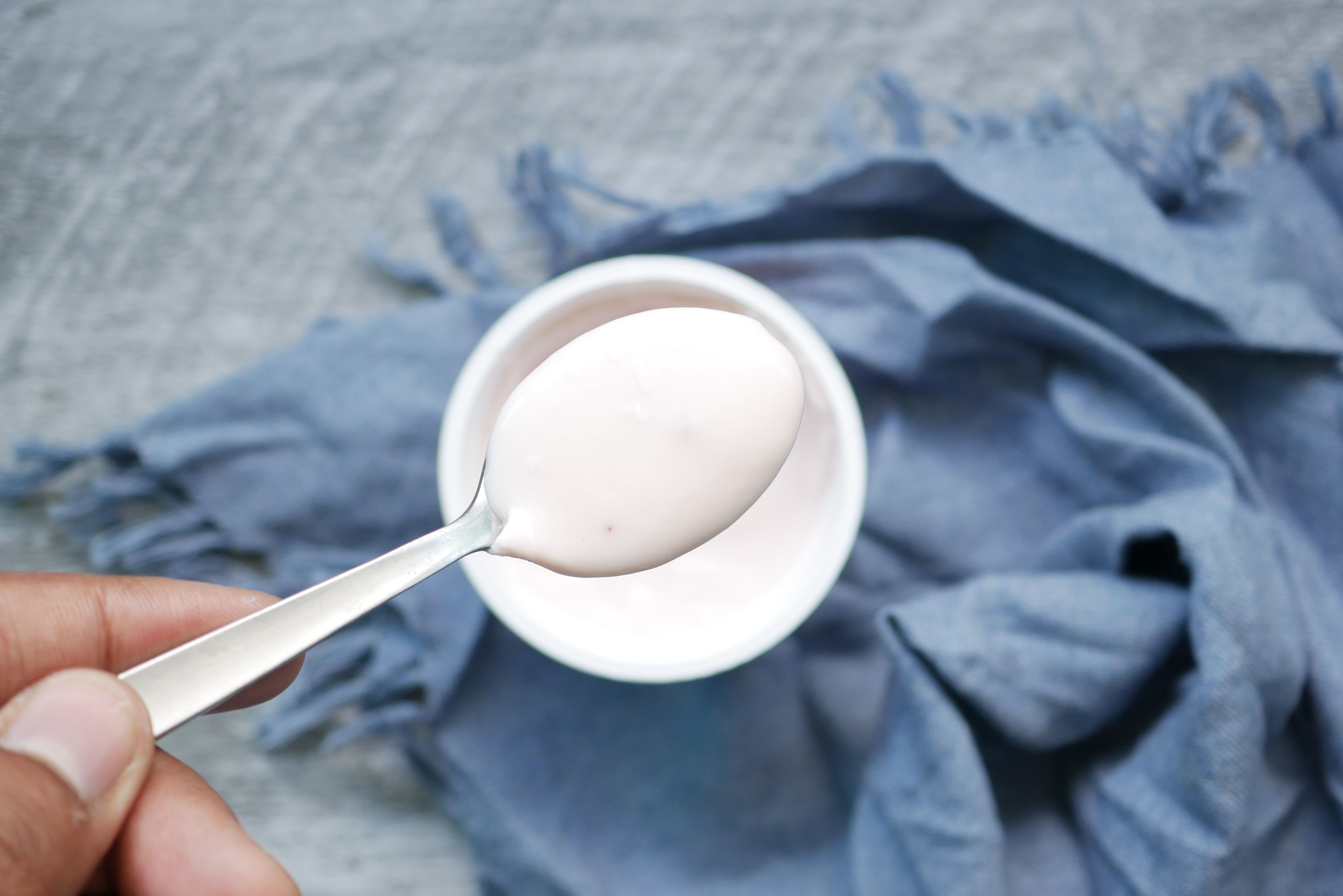 yogurt/乳酪