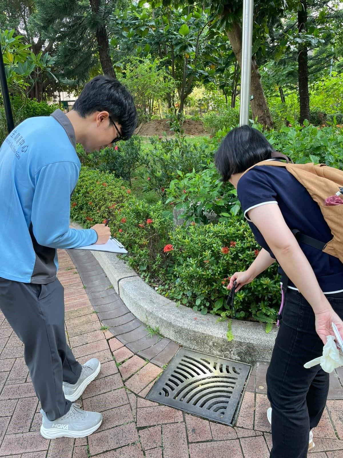 大角咀基孔肯雅熱